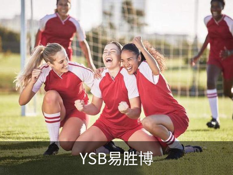 了解YSB易胜博